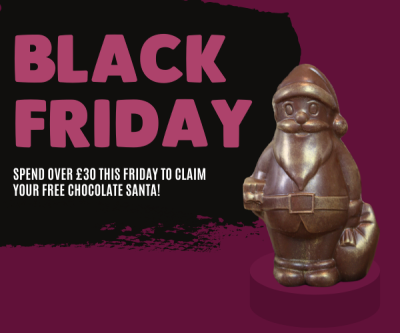 Exclusive Black Friday Offer